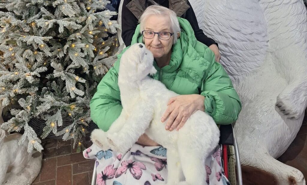 Residents browsing stalls and enjoying treats at the Eryl Fryn Christmas Fayre.